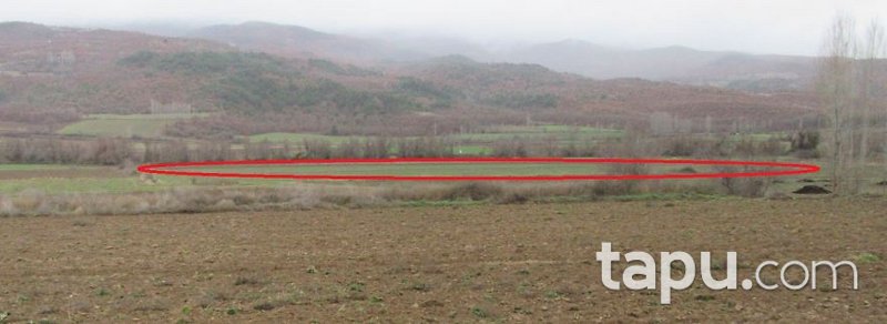 Çorum Mecitözü Karacuma'da 30 Dönüm Tarla
