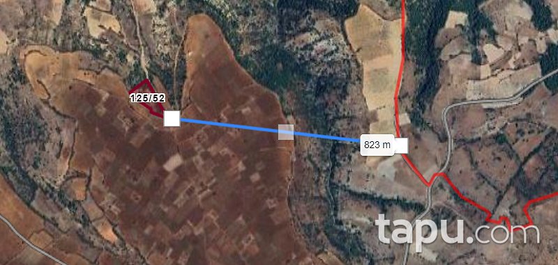 Denizli Çal Bahadınlar Mevkiinde 7.043 m2 Bağ