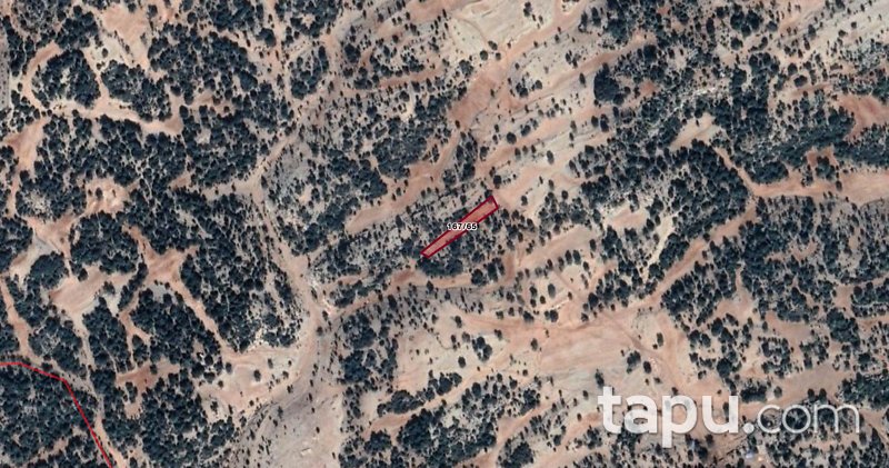 Mersin Erdemli Sarıkaya Mahallesi'nde 1.631 m2 Tarla