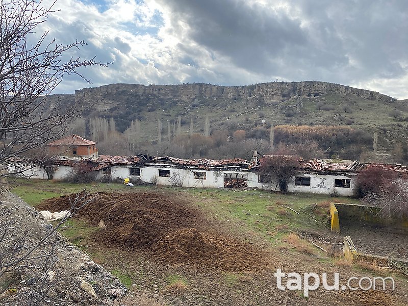 Güdül Kavaközü Mahallesi'nde 20 Dönüm Arazi ve Çiftlik 