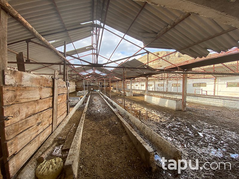 Güdül Kavaközü Mahallesi'nde 20 Dönüm Arazi ve Çiftlik 