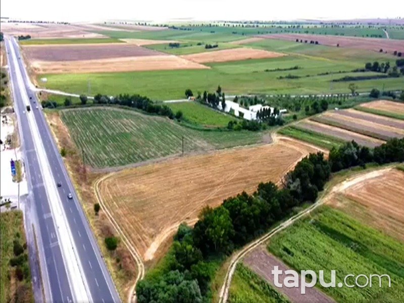 Kırklareli Lüleburgaz Sarıcaali 6540 m2 Tarla