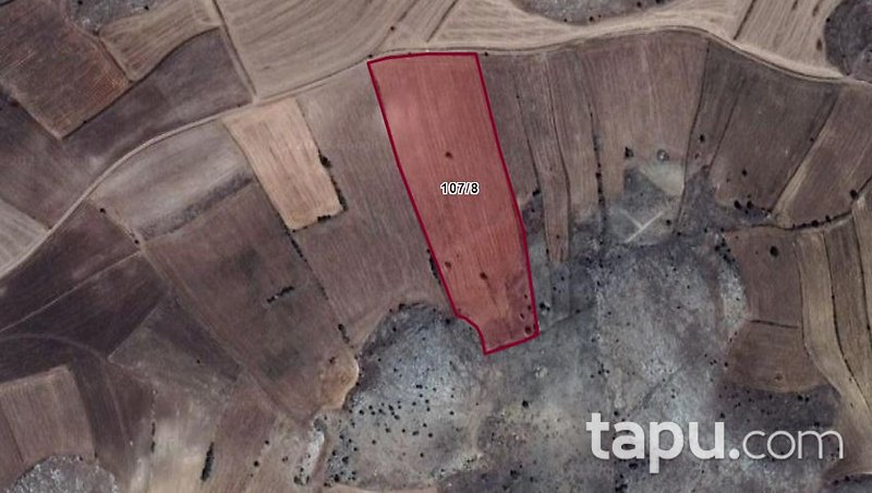 Çorum Mecitözü Konaç Köyü'nde Yatırımlık 22 Dönüm Tarla