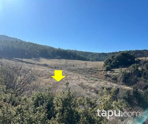 Isparta Eğirdir Göktaş Köyü'nde 2460 m2 Bahçe