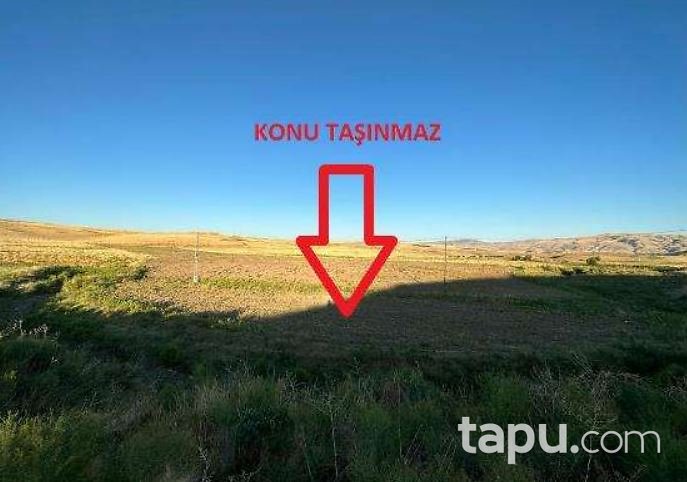 Malatya Arguvan Morhamam Köyü'nde Hisseli 521 m2 Tarla