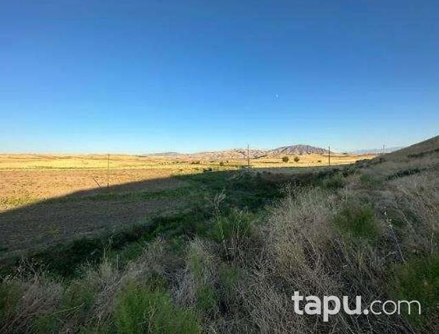 Malatya Arguvan Morhamam Köyü'nde Hisseli 521 m2 Tarla