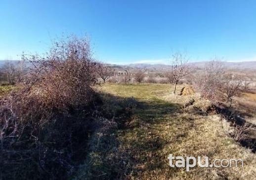 Malatya Pütürge Yazıca'da 4.690 M2 Tarla