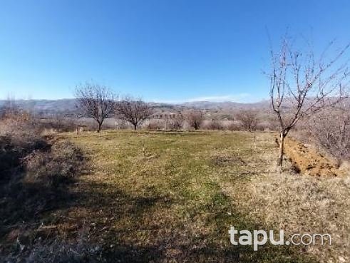 Malatya Pütürge Yazıca'da 4.690 M2 Tarla