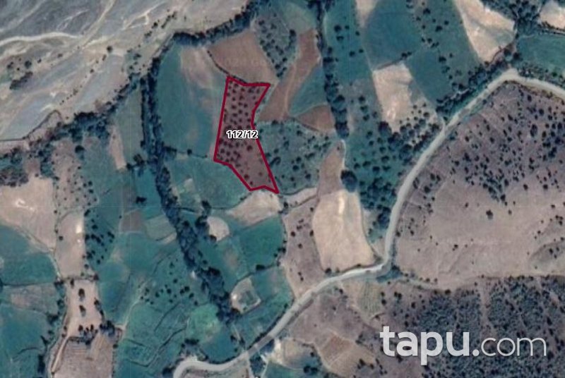 Malatya Pütürge Yazıca'da 4.690 M2 Tarla