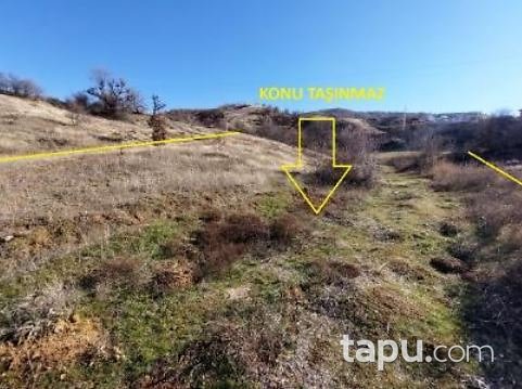 Malatya Pütürge Yazıca'da 5 Dönüm Tarla
