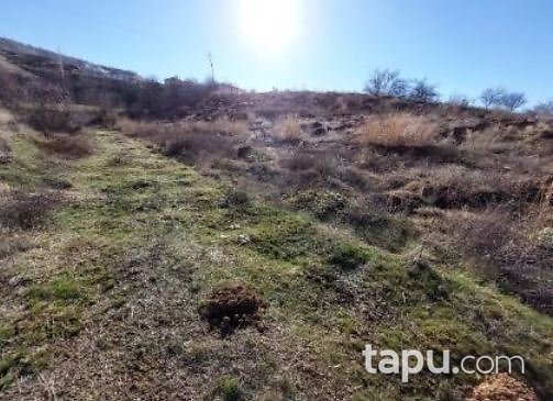 Malatya Pütürge Yazıca'da 5 Dönüm Tarla