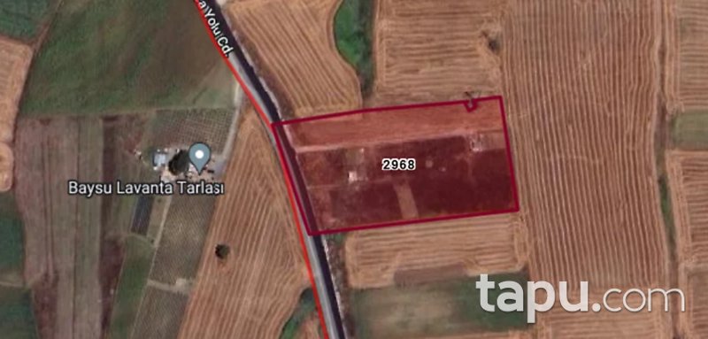 İstanbul Büyükçekmece Tepecik Mahallesinde Hisseli 228 m2 Tarla