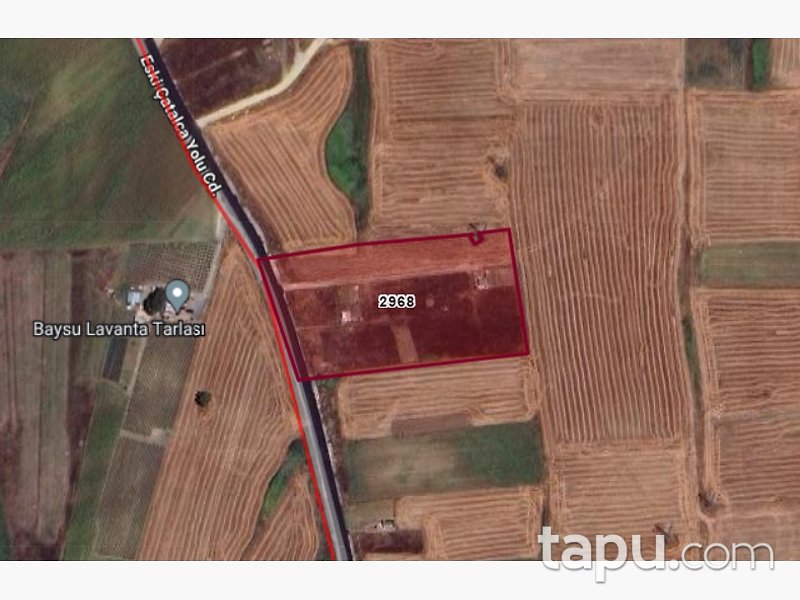 İstanbul Büyükçekmece Tepecik Mahallesinde Hisseli 228 m2 Tarla