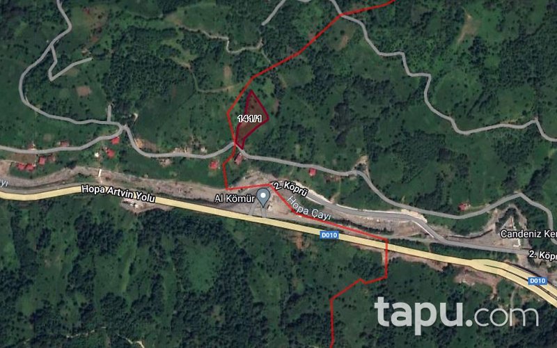 Artvin Hopa Çavuşlu'da 5 Dönüm Çay Bahçesi