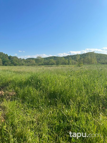 Şile İsaköy Mevkiinde Manzaralı 400 m² Tarla