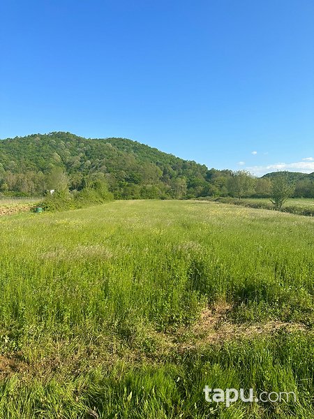 Şile İsaköy Mevkiinde Manzaralı 400 m² Tarla