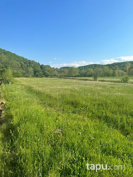 Şile İsaköy Mevkiinde Manzaralı 400 m² Tarla