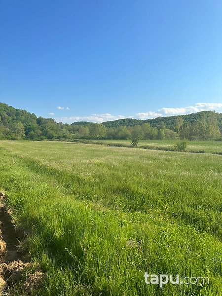 Şile İsaköy Mevkiinde Manzaralı 400 m² Tarla