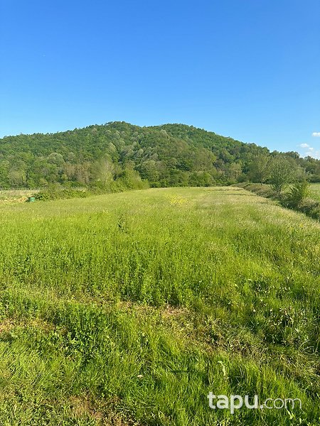 Şile İsaköy Mevkiinde Manzaralı 400 m² Tarla
