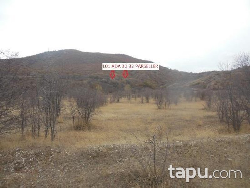 Çankırı Ilgaz Belören'de 385 m2 Hisseli Tarla