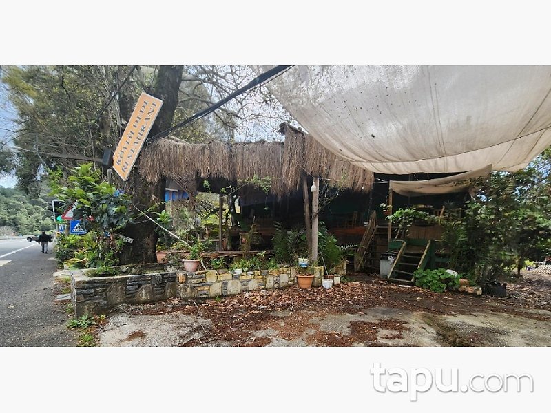 Muğla Ula Gökçe'de Hisseli Konut ve Ticari İmarlı Arazi