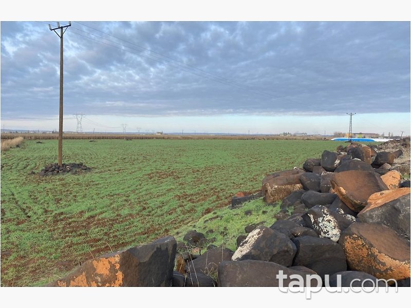 Şanlıurfa Viranşehir Yukarıdilimlİ'de 33 Dönüm Tarla