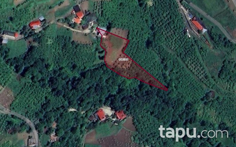 Trabzon Akçaabat Sertkaya Mahallesi'nde 3 Dönüm Tarla