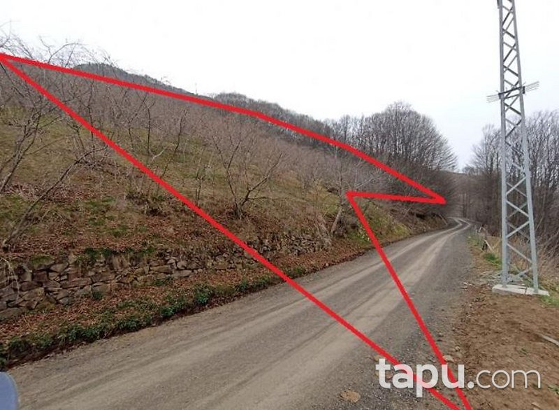 Trabzon Akçaabat Sertkaya Mahallesi'nde Hisseli 2 Dönüm Tarla