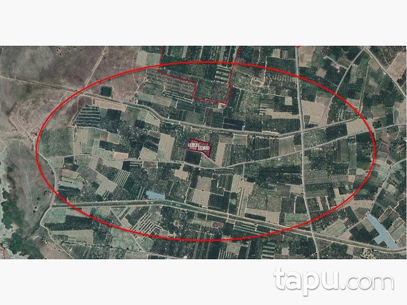 Isparta Gelendost Selçuk Mahallesi'nde 3 Dönüm Tarla