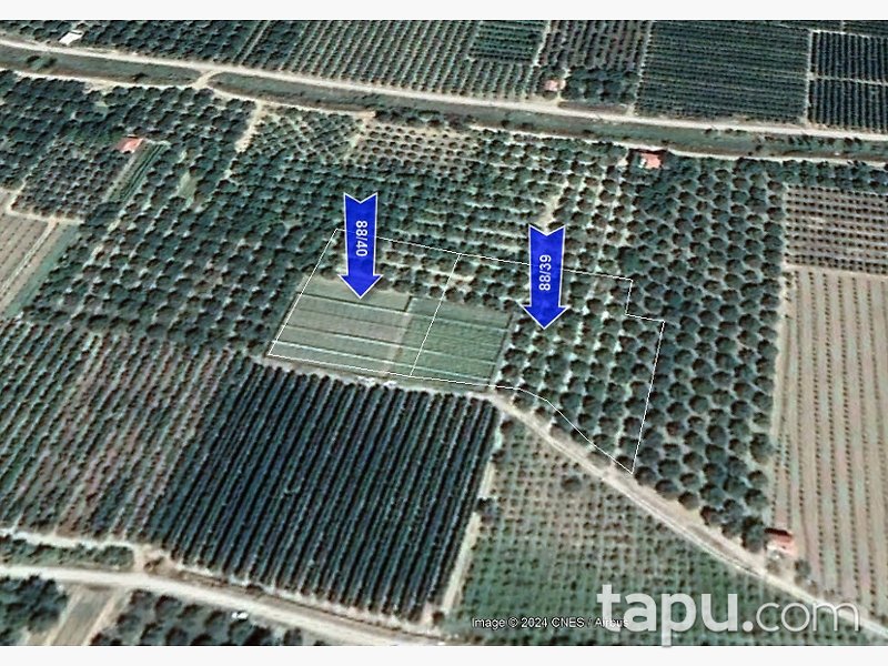 Isparta Gelendost Selçuk Mahallesi'nde 3 Dönüm Tarla