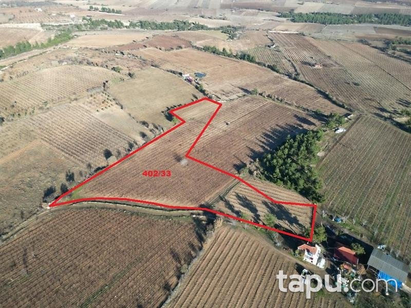 Denizli Güney Yağcılar Mahallesi'nde 15 Dönüm Tarla