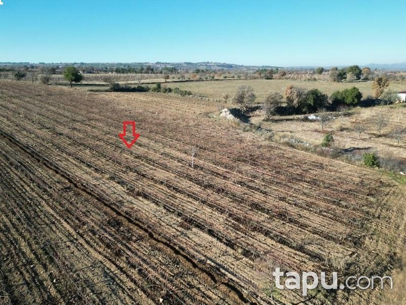 Denizli Güney Yağcılar Mahallesi'nde 15 Dönüm Tarla
