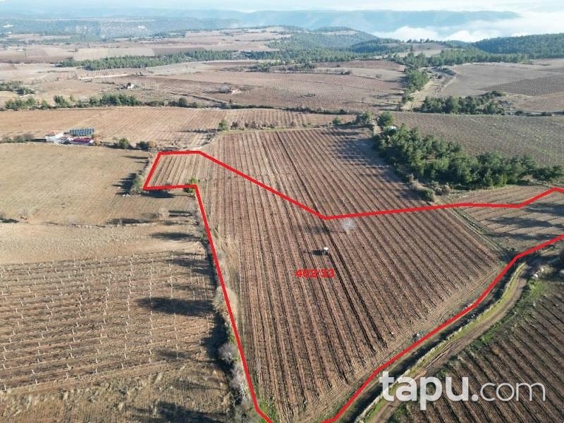 Denizli Güney Yağcılar Mahallesi'nde 15 Dönüm Tarla
