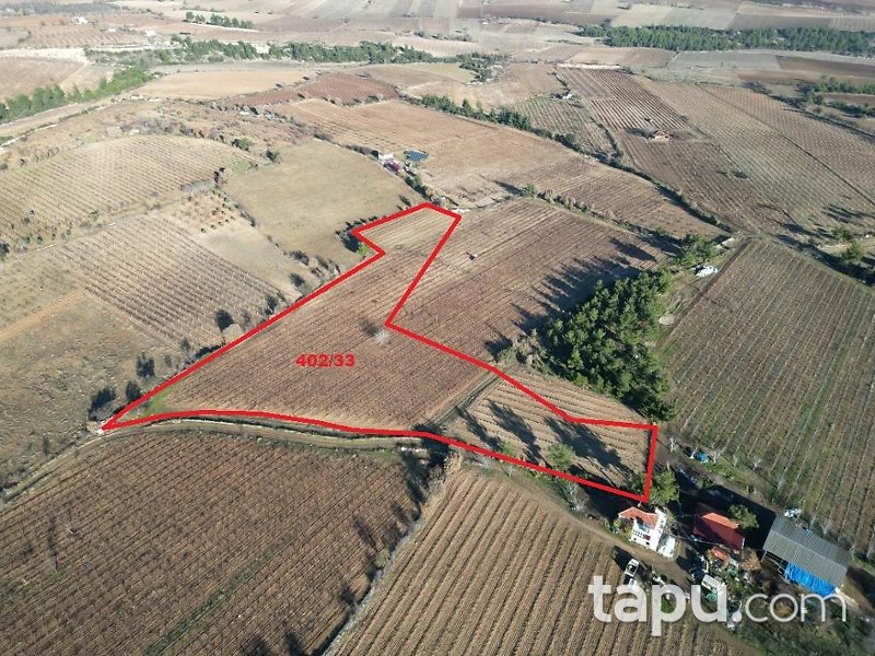 Denizli Güney Yağcılar Mahallesi'nde 15 Dönüm Tarla