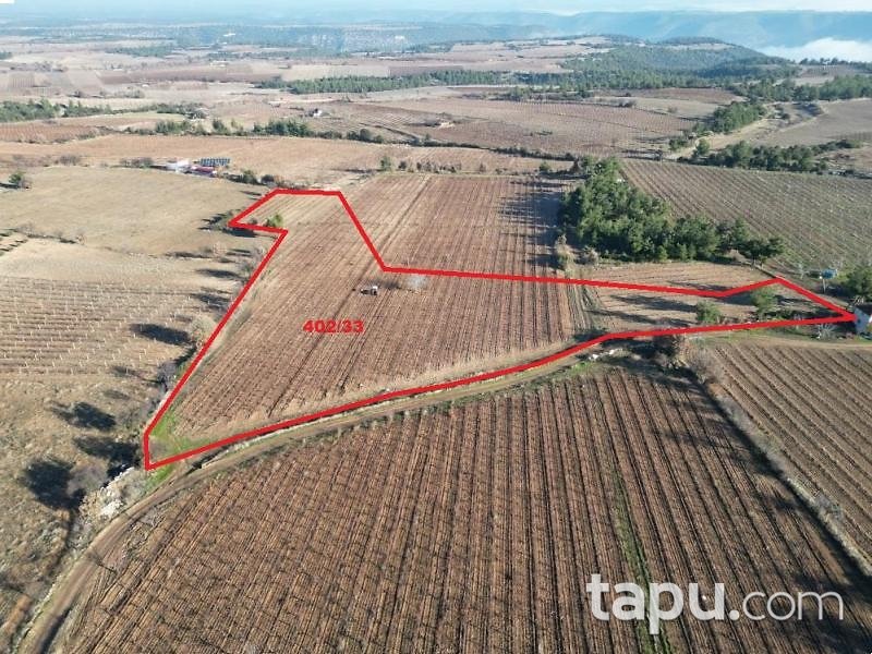 Denizli Güney Yağcılar Mahallesi'nde 15 Dönüm Tarla