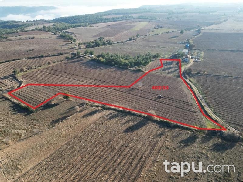 Denizli Güney Yağcılar Mahallesi'nde 15 Dönüm Tarla