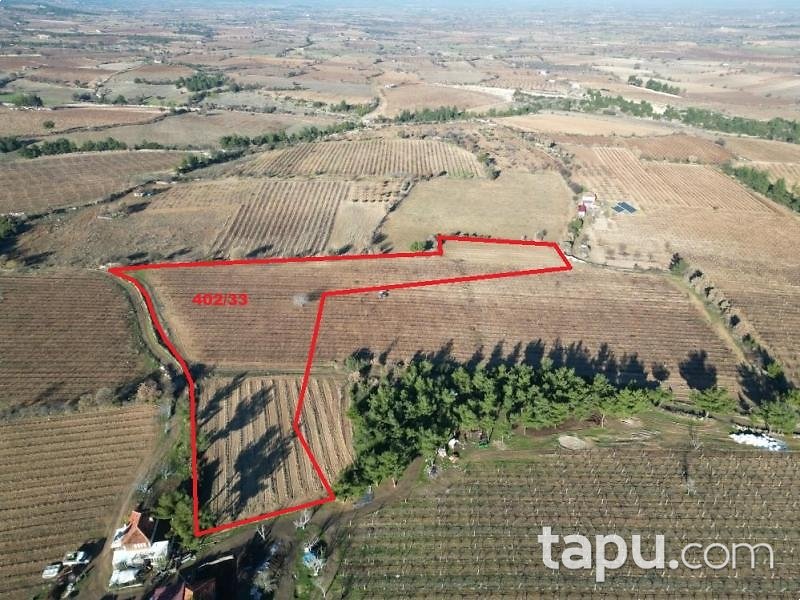 Denizli Güney Yağcılar Mahallesi'nde 15 Dönüm Tarla
