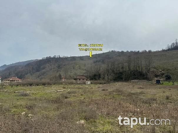 Düzce Akçakoca Esmahanım Köyü'nde 8 Dönüm Fındık Bahçesi