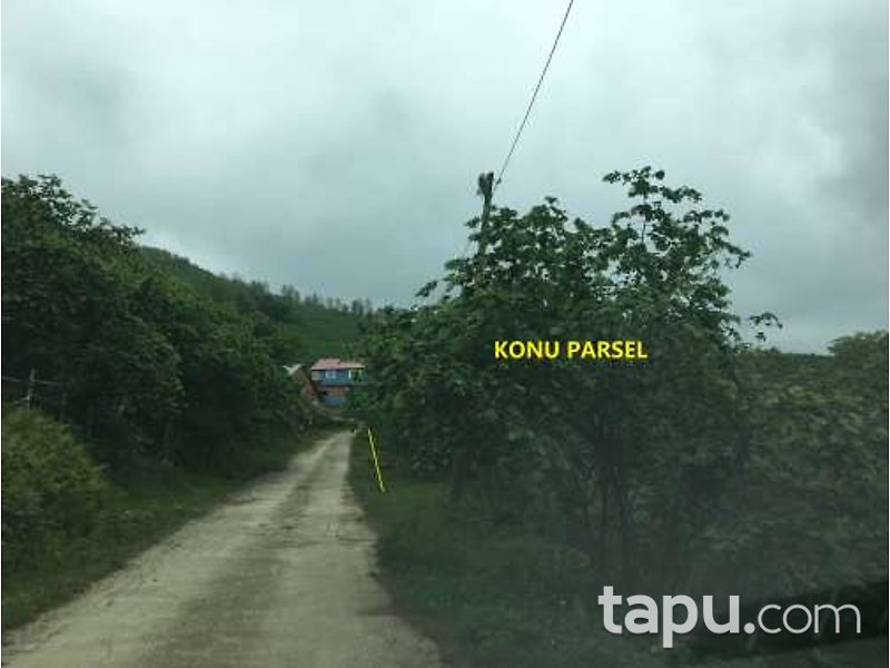 Giresun Görele Karlıbel Köyü'nde Hisseli Kargir Ev ve Arsası