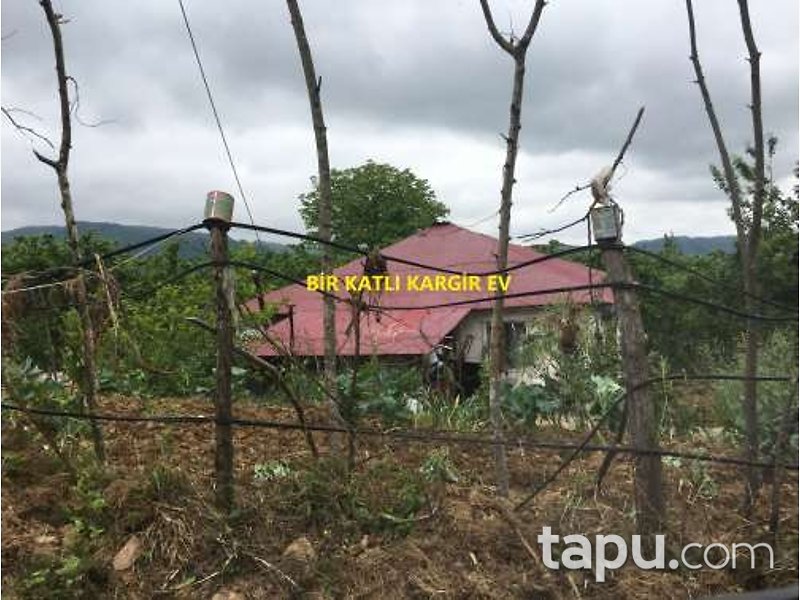 Giresun Görele Karlıbel Köyü'nde Hisseli Kargir Ev ve Arsası