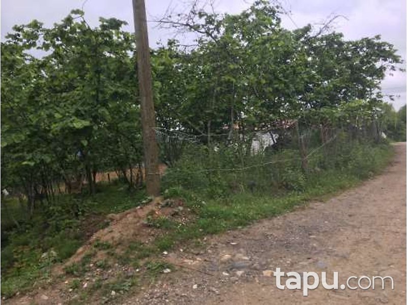Giresun Görele Karlıbel Köyü'nde Hisseli Kargir Ev ve Arsası