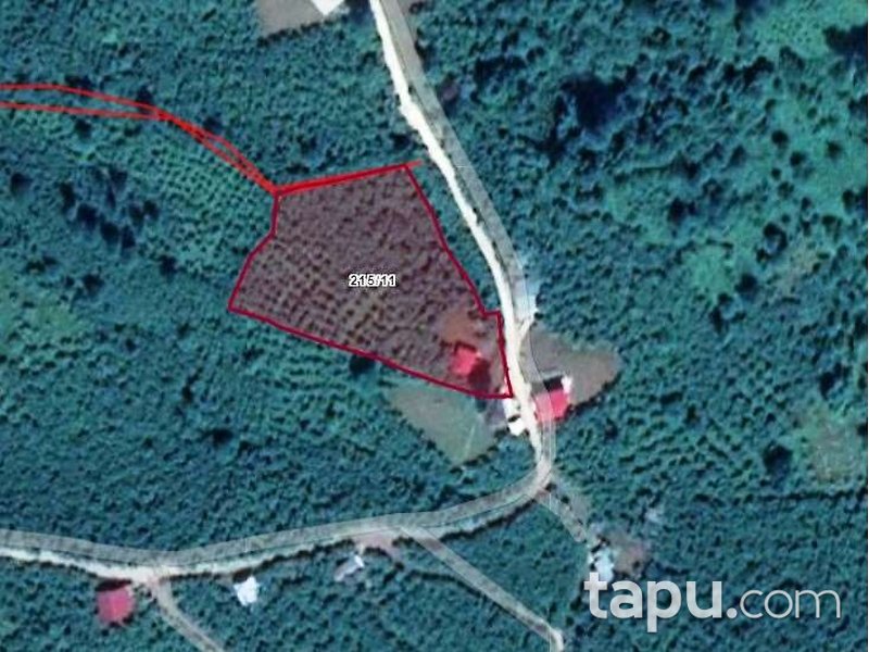 Giresun Görele Karlıbel Köyü'nde Hisseli Kargir Ev ve Arsası