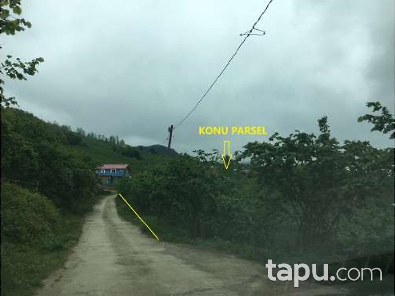 Giresun Görele Karlıbel Köyü'nde Hisseli Kargir Ev ve Arsası