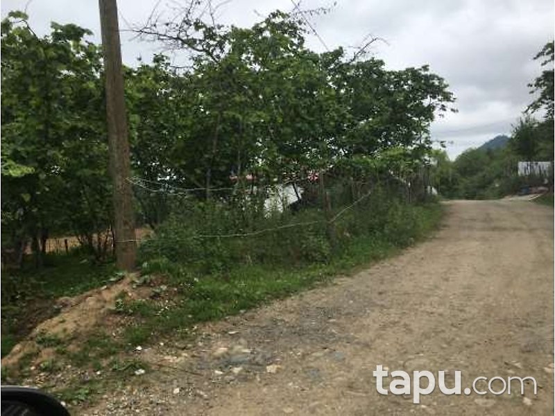 Giresun Görele Karlıbel Köyü'nde Hisseli Kargir Ev ve Arsası