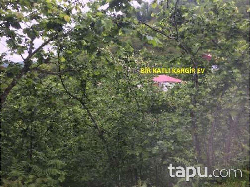 Giresun Görele Karlıbel Köyü'nde Hisseli Kargir Ev ve Arsası