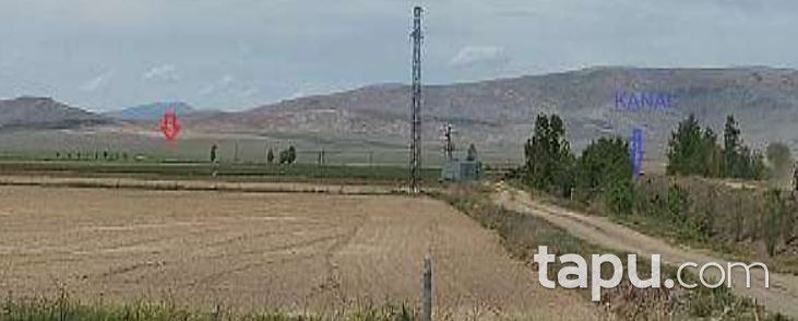 Konya Çumra Alibeyhüyüğü Mahallesi'nde 21 Dönüm Tarla