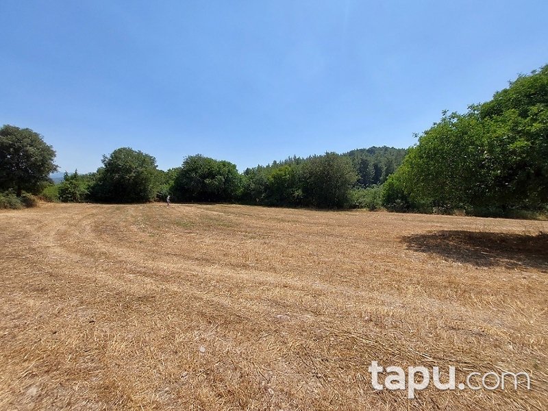 Muğla Ula Portakallık Mahallesi'nde Hisseli 644 m2 Tarla