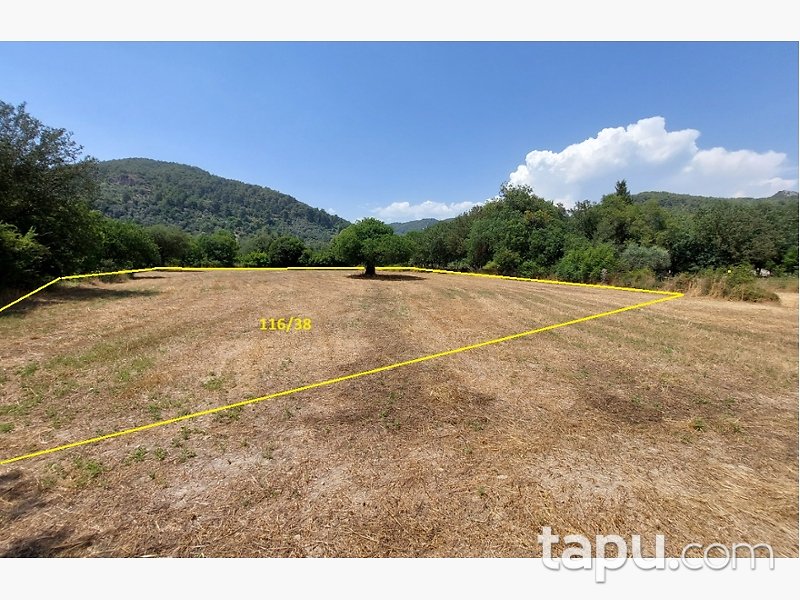 Muğla Ula Portakallık Mahallesi'nde Hisseli 644 m2 Tarla