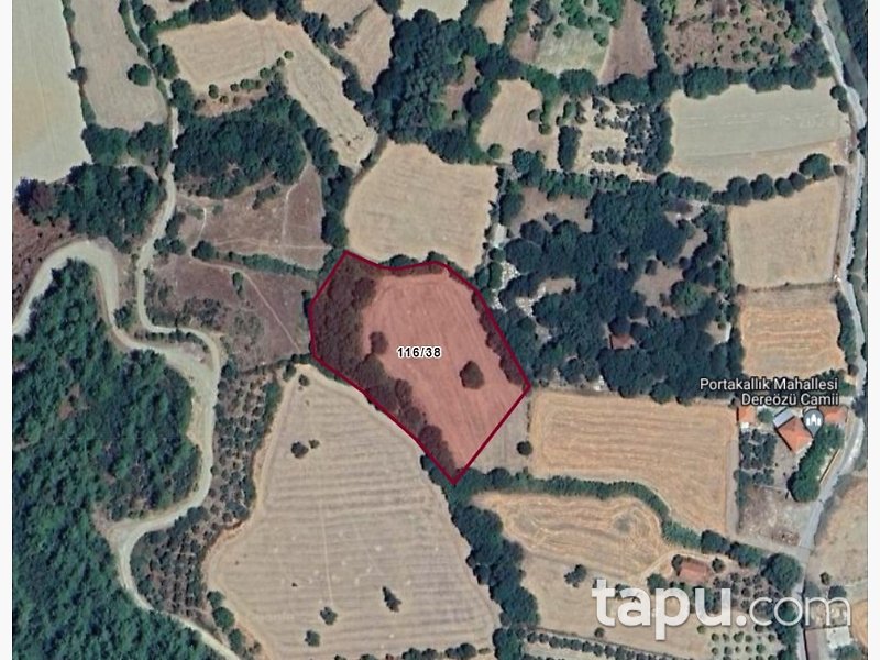Muğla Ula Portakallık Mahallesi'nde Hisseli 644 m2 Tarla