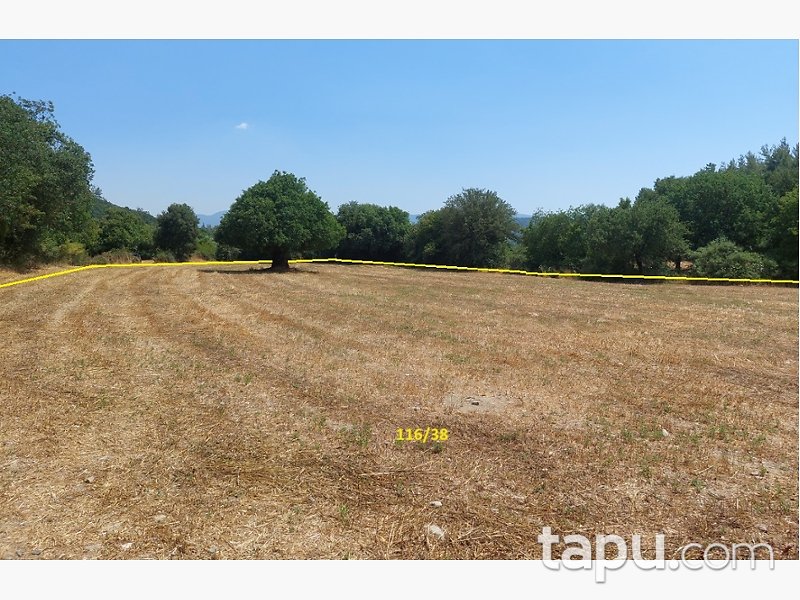 Muğla Ula Portakallık Mahallesi'nde Hisseli 644 m2 Tarla
